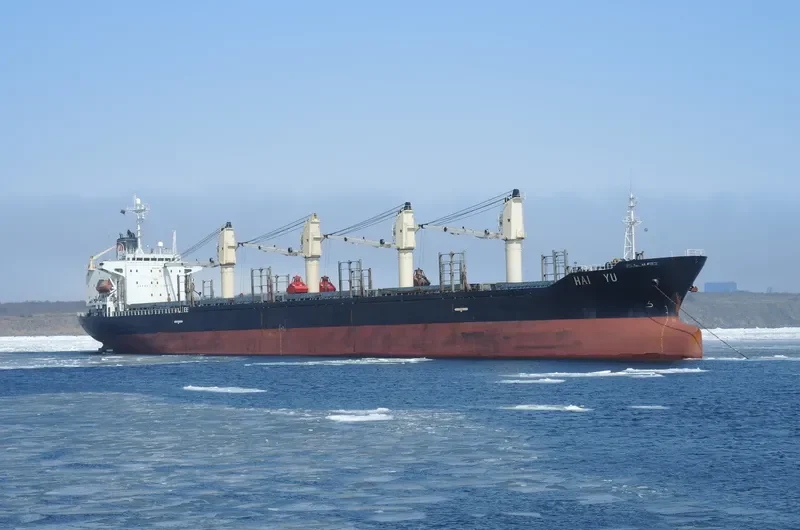 GOLDEN SUN Bulk Carrier IMO 9135511