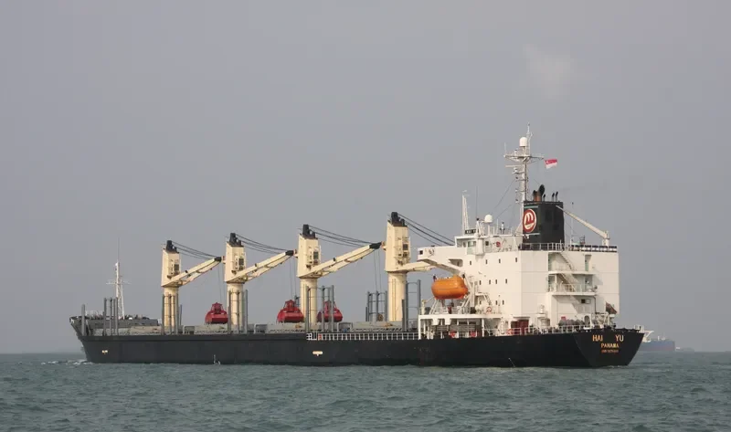 GOLDEN SUN Bulk Carrier IMO 9135511 photo 3