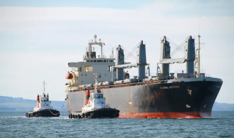 AN SHUN 5 Bulk Carrier IMO 9135535 photo 2