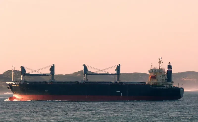 AN SHUN 5 Bulk Carrier IMO 9135535 photo 5