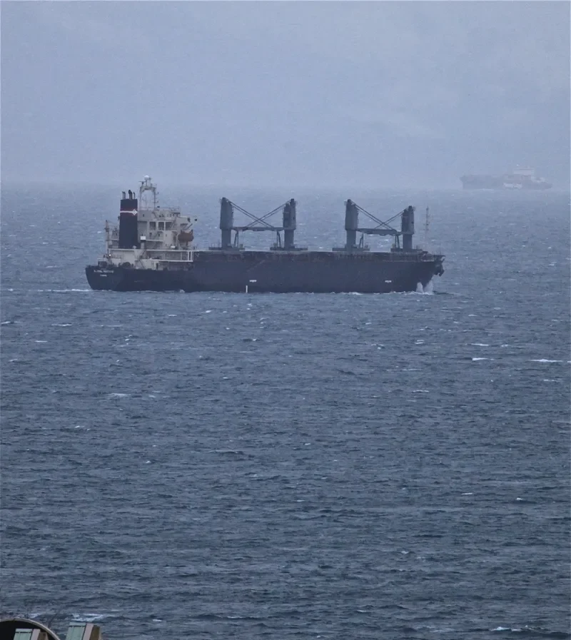 AN SHUN 5 Bulk Carrier IMO 9135535 photo 8