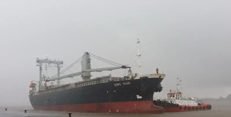 MERCURY General Cargo IMO 9135573 photo 6