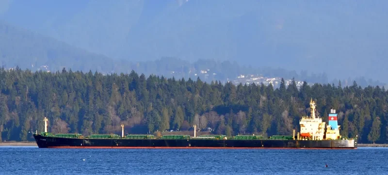 ATLANTIC Bulk Carrier IMO 9135676 photo 2