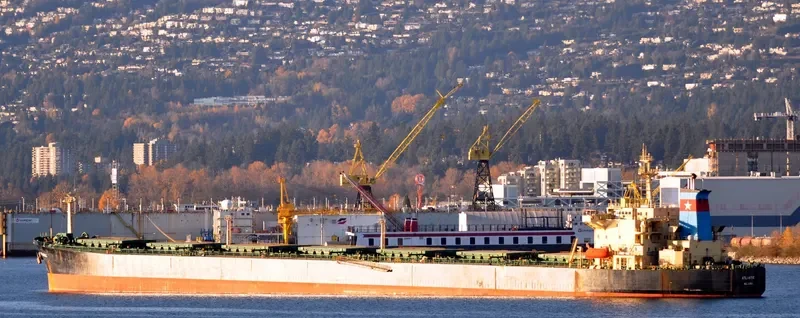 ATLANTIC Bulk Carrier IMO 9135676 photo 3