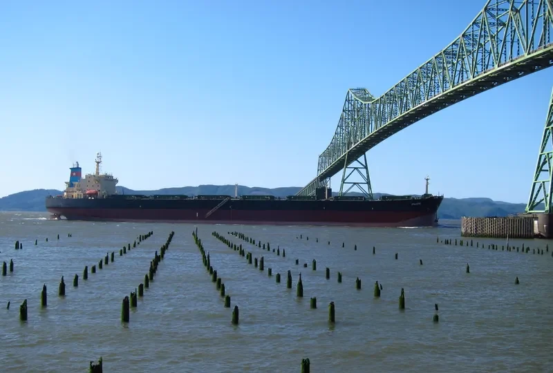 ATLANTIC Bulk Carrier IMO 9135676 photo 8