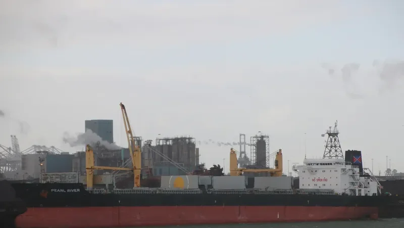 PEARL RIVER Bulk Carrier IMO 9135901 photo 8