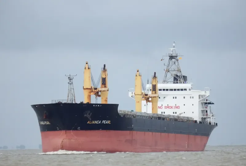 PEARL RIVER Bulk Carrier IMO 9135901 photo 10