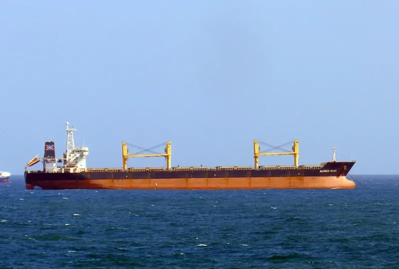 ALIANCA RIVER Bulk Carrier IMO 9135913 photo 2