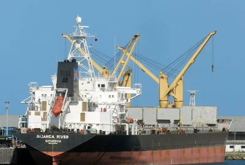 ALIANCA RIVER Bulk Carrier IMO 9135913 photo 3