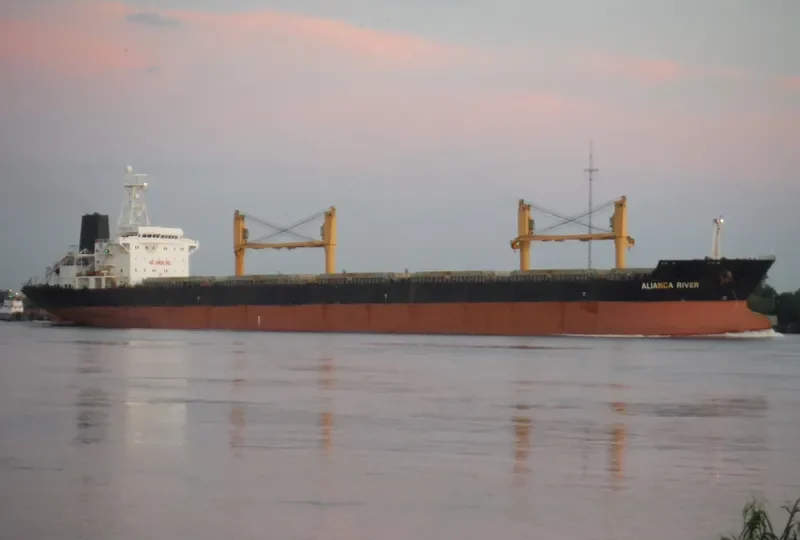 ALIANCA RIVER Bulk Carrier IMO 9135913 photo 4
