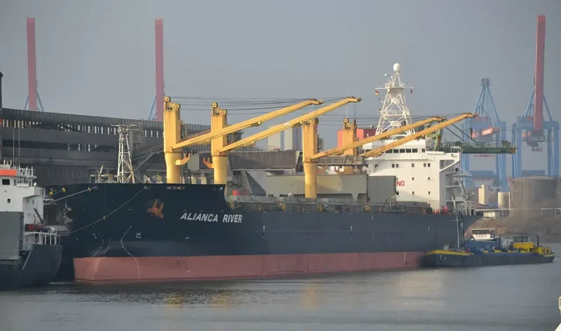 ALIANCA RIVER Bulk Carrier IMO 9135913 photo 5