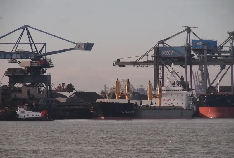 ALIANCA RIVER Bulk Carrier IMO 9135913 photo 6