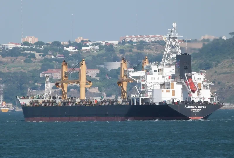 ALIANCA RIVER Bulk Carrier IMO 9135913 photo 7