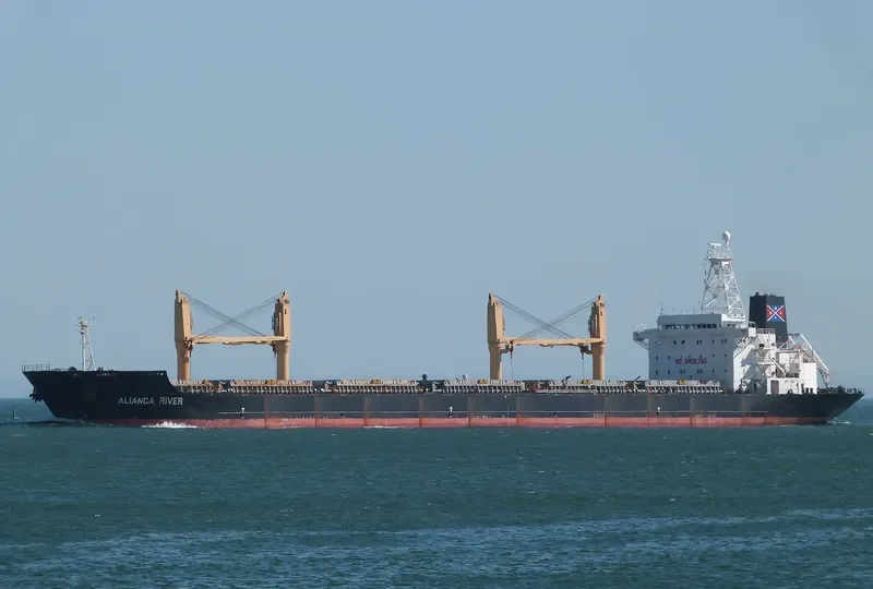ALIANCA RIVER Bulk Carrier IMO 9135913 photo 8