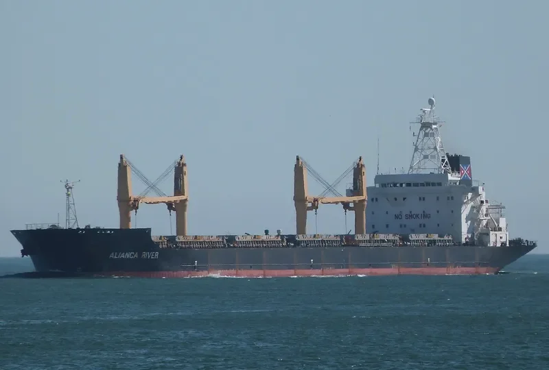 ALIANCA RIVER Bulk Carrier IMO 9135913 photo 9