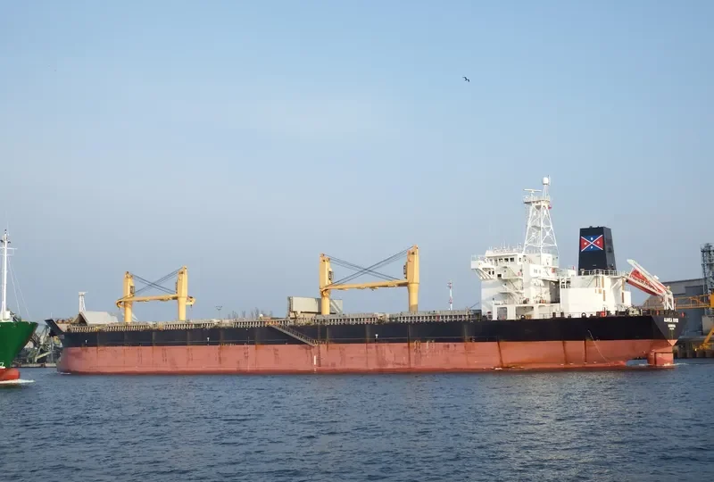 ALIANCA RIVER Bulk Carrier IMO 9135913 photo 10
