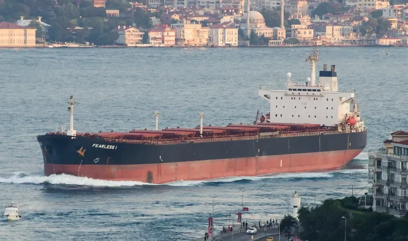 EVELYN HAYNE Bulk Carrier IMO 9136060 photo 2