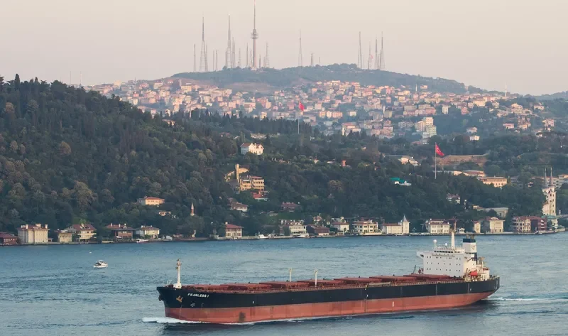 EVELYN HAYNE Bulk Carrier IMO 9136060 photo 3