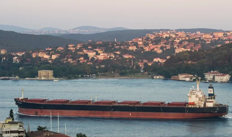 EVELYN HAYNE Bulk Carrier IMO 9136060 photo 4