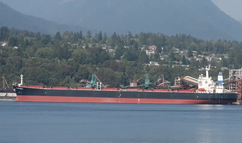 EVELYN HAYNE Bulk Carrier IMO 9136060 photo 5