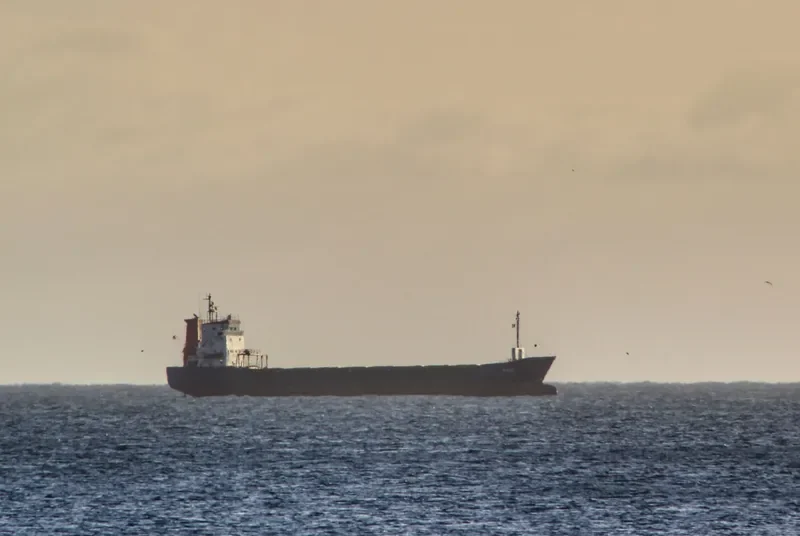 NAOS Container Ship IMO 9136137