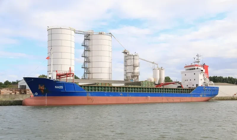 NAOS Container Ship IMO 9136137 photo 2