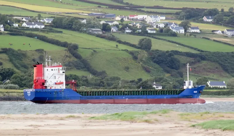 NAOS Container Ship IMO 9136137 photo 3