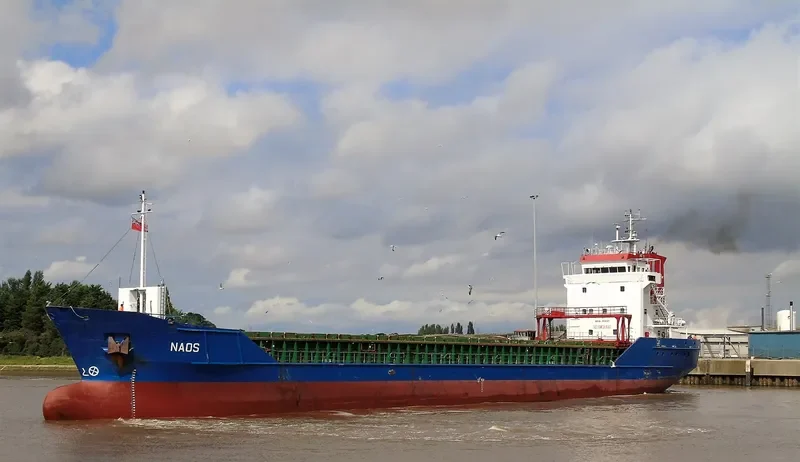NAOS Container Ship IMO 9136137 photo 5