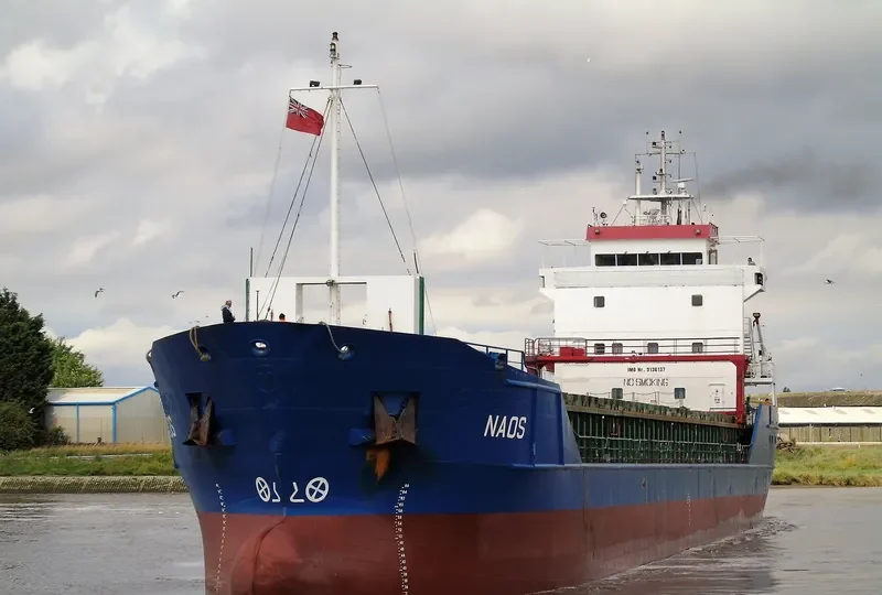 NAOS Container Ship IMO 9136137 photo 6