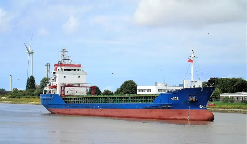 NAOS Container Ship IMO 9136137 photo 8