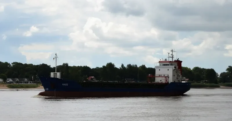 NAOS Container Ship IMO 9136137 photo 9