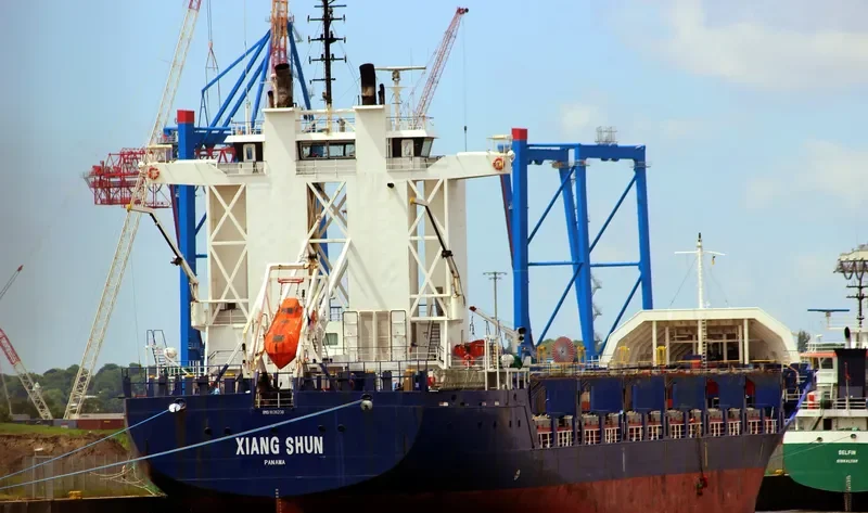 NIIGATA TRADER Container Ship IMO 9136230 photo 7