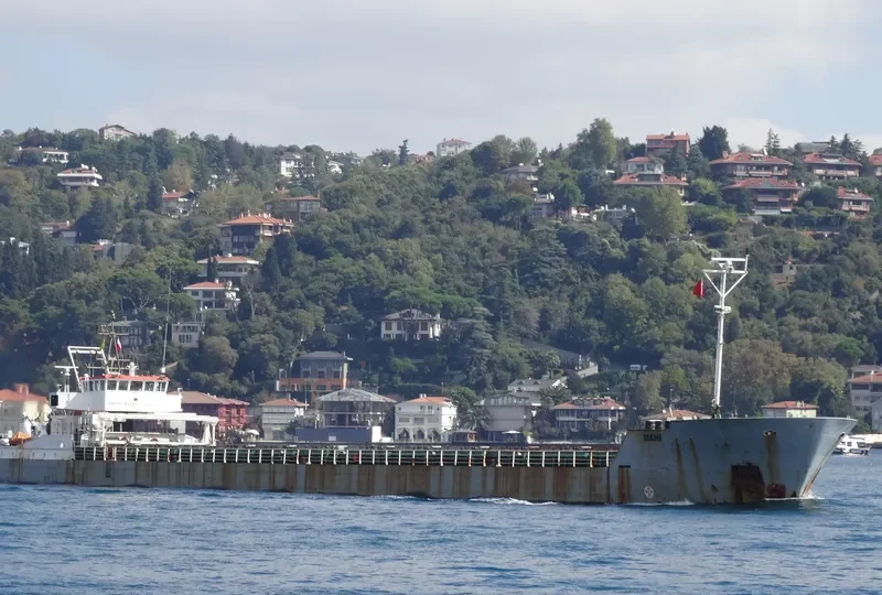 DNIPRO LINE Container Ship IMO 9136371 photo 6