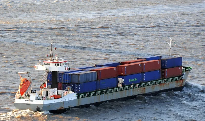 DNIPRO LINE Container Ship IMO 9136371 photo 9