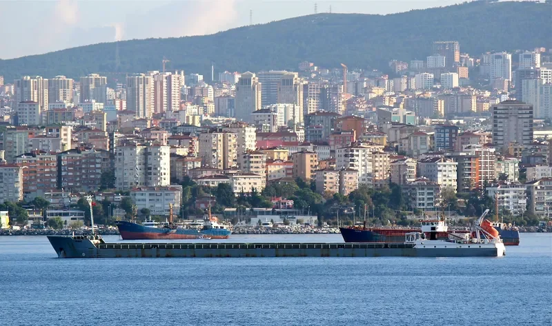 DNIPRO LINE Container Ship IMO 9136371 photo 10