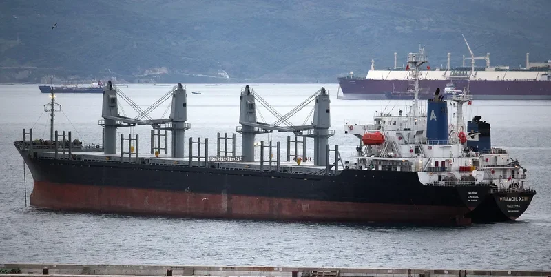 AT 27 Bulk Carrier IMO 9136539 photo 7