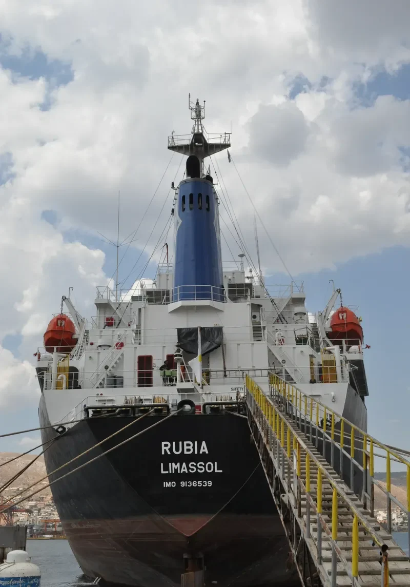 AT 27 Bulk Carrier IMO 9136539 photo 9
