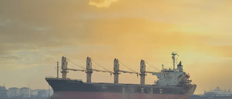 NEPTUNE STAR Bulk Carrier IMO 9136553 photo 5