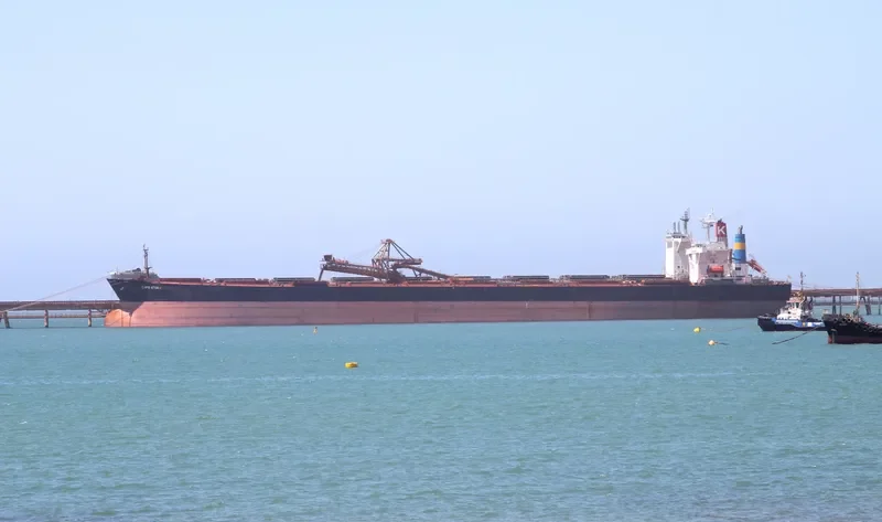 SING FU STAR Bulk Carrier IMO 9136577 photo 2
