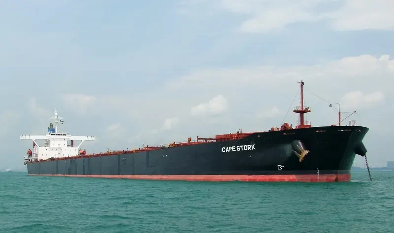 SING FU STAR Bulk Carrier IMO 9136577 photo 4