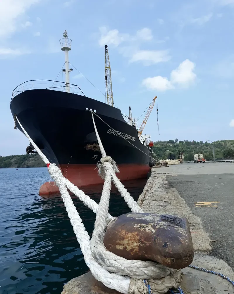 BAHTERA CEMERLANG General Cargo IMO 9136618 photo 10