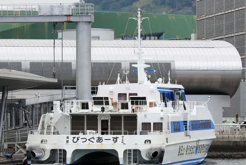 BIG EARTH Passenger Ship IMO 9136723 photo 2