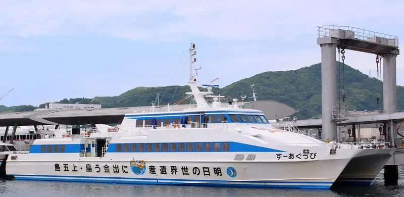 BIG EARTH Passenger Ship IMO 9136723 photo 4