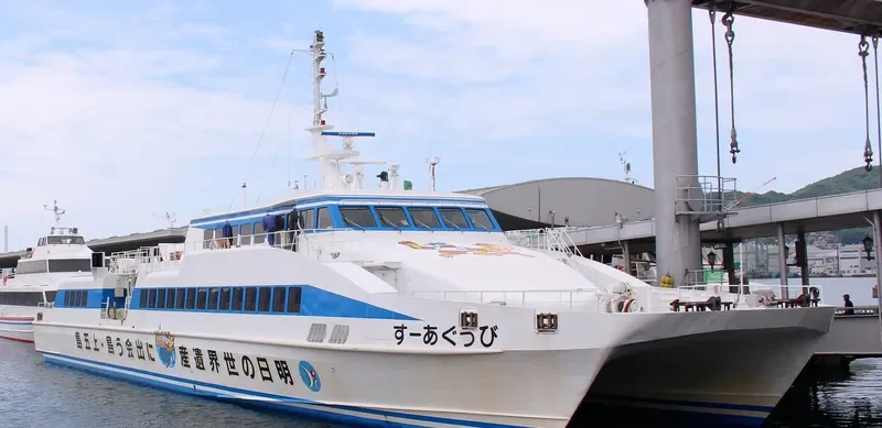 BIG EARTH Passenger Ship IMO 9136723 photo 5