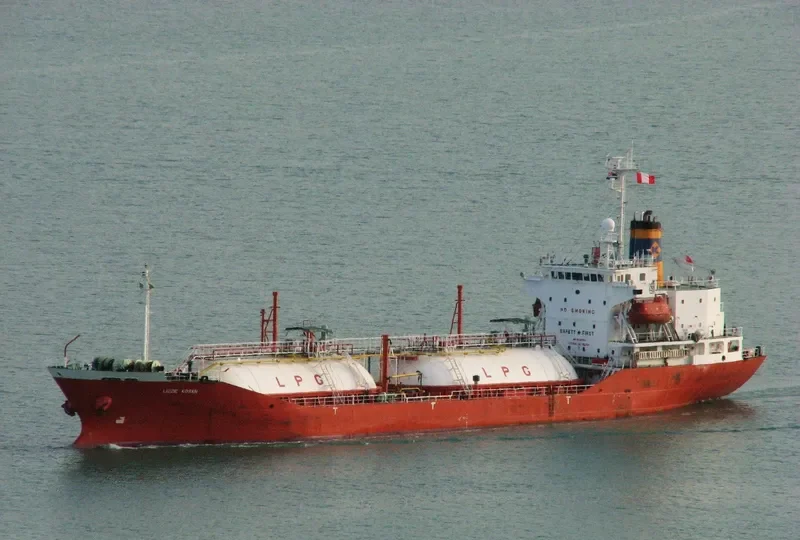 VENUS GAS General Cargo IMO 9136759 photo 8