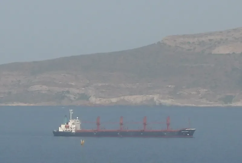 SEA ADELAIDE Bulk Carrier IMO 9136773