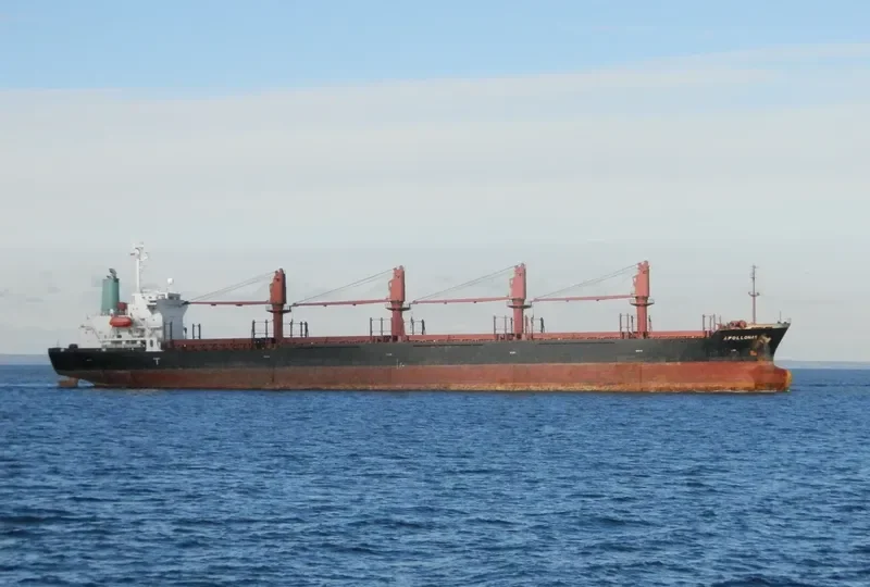 SEA ADELAIDE Bulk Carrier IMO 9136773 photo 2