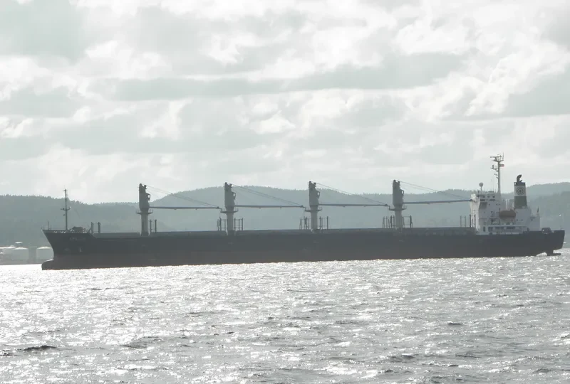 SEA ADELAIDE Bulk Carrier IMO 9136773 photo 8