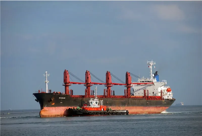SEA ADELAIDE Bulk Carrier IMO 9136773 photo 10