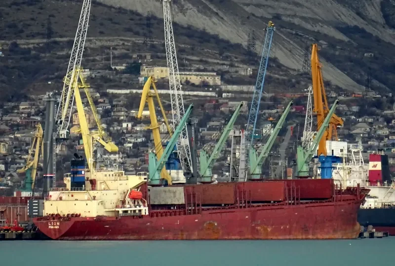 LION Bulk Carrier IMO 9136785